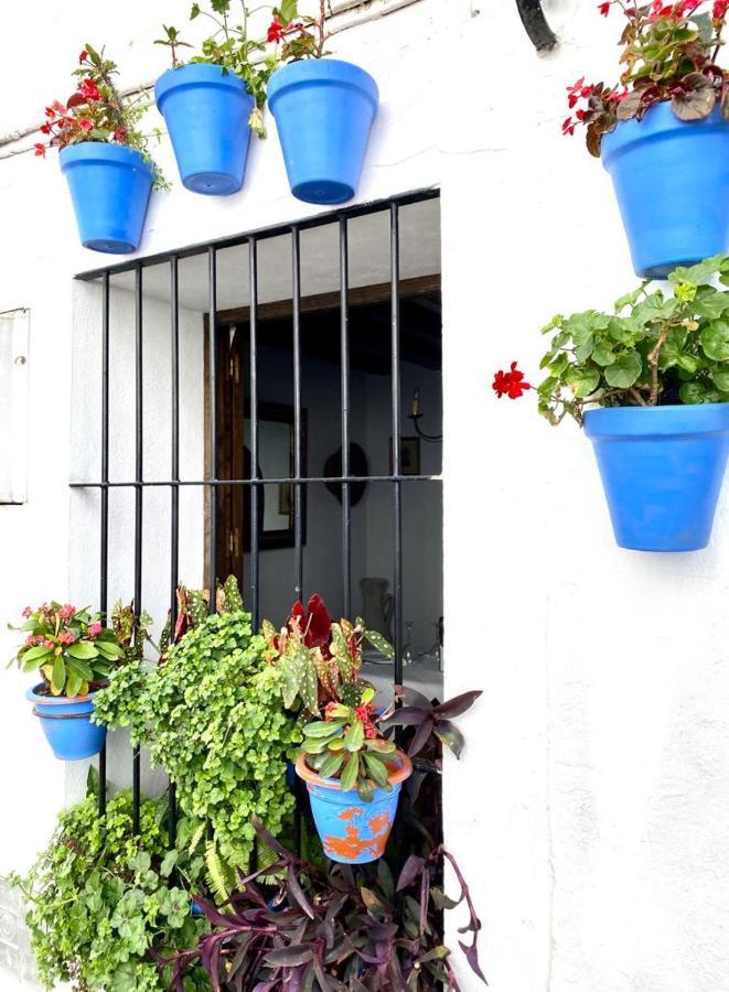 Casa Rural Manantial De Las Jaras Istan Luaran gambar